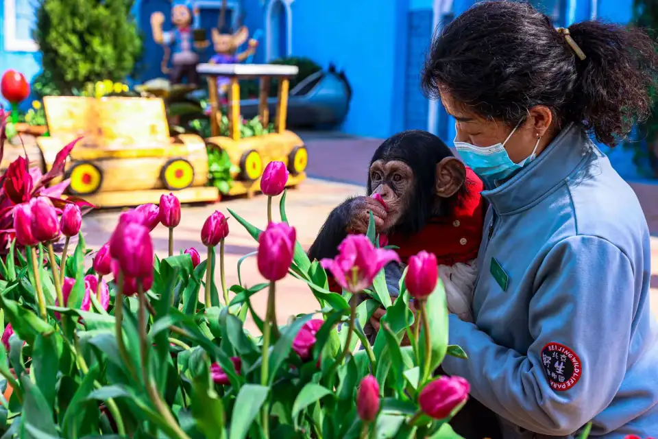 2_Beijing Wildlife Park