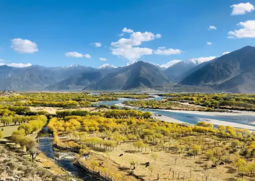 Hotels near Zhuolonggou Holy Land