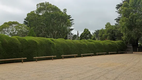 Ashcombe Maze & Lavender Gardens