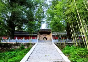 Национальный лесной парк храма Байюань