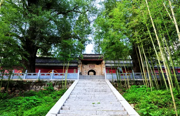 白竹園寺國家森林公園門票成人