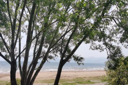 合院餐厅地主家