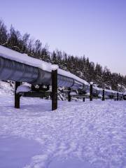 Alyeska Pipeline Viewing Point