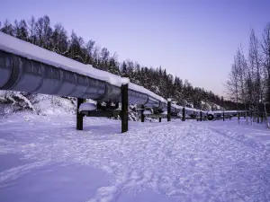 Alyeska Pipeline / Viewing Point