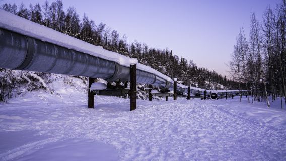 Alaska Pipeline (Viewing Point)