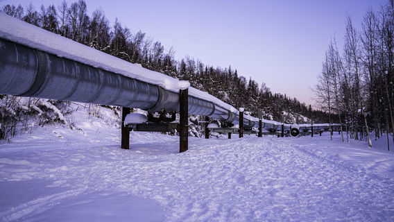Alyeska Pipeline / Viewing Point