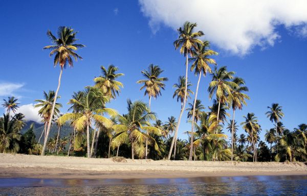 Dominica to Nevis flight
