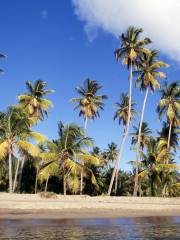 Pinney's Beach