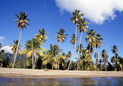 Nevis