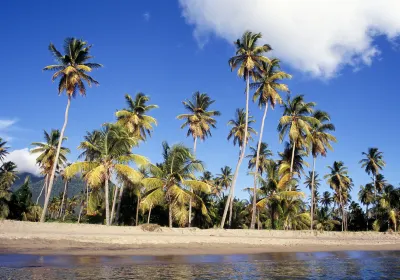 Nevis