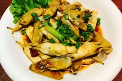 XIAO YU CAN TING