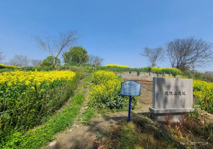 趙陵山遺址