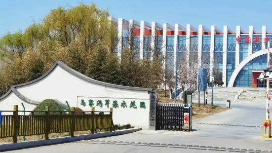中國芹菜博物館