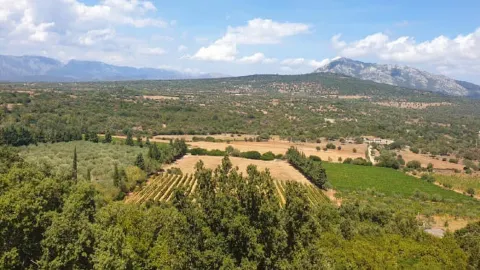 Ispinigoli in Dorgali
