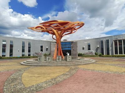 Yimen Wild Mushroom Museum