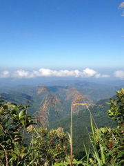 Kinabalu National Park