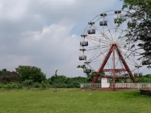 Trans-Amusement Park