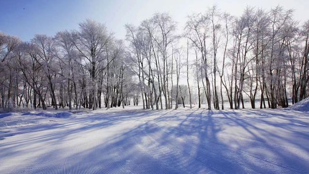 Sainadou Bingxue World