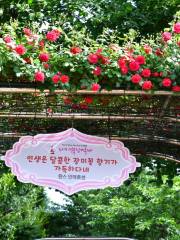首爾玫瑰慶典