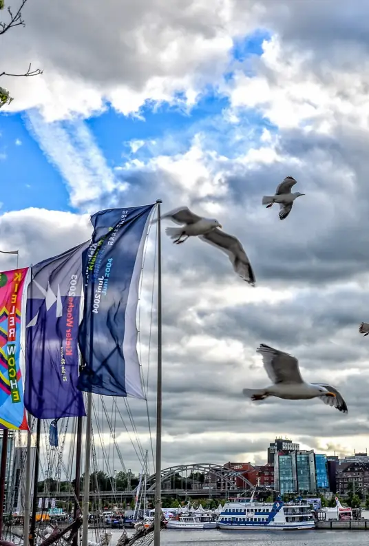 Kiel Week | Kiel