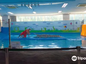대전아쿠아리움