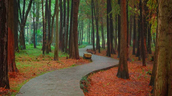 雨亭國家城市濕地公園