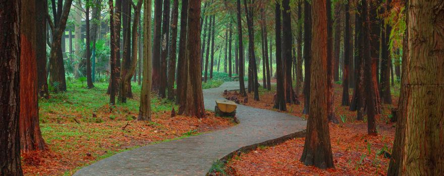 Yuting Park