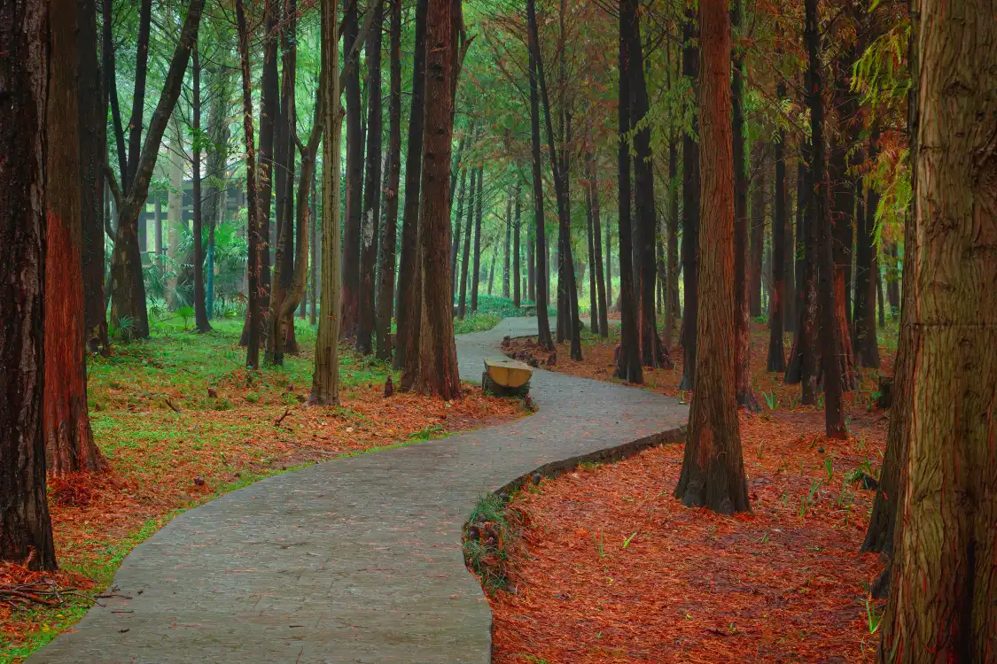 Các khách sạn gần Yuting Park