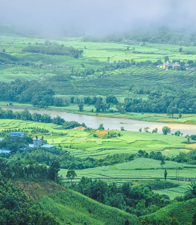 Yingjiang