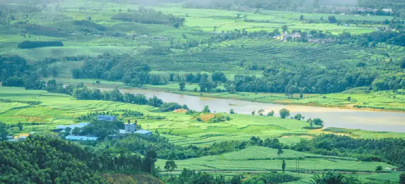 Hotels in Yingjiang