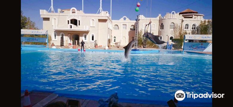 Nabq Bay