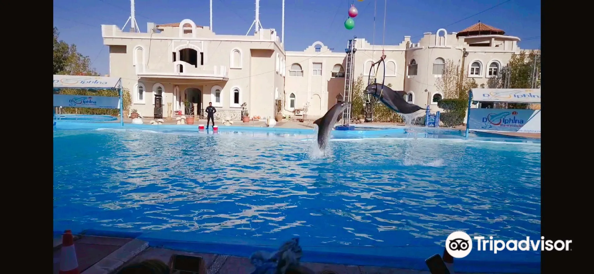 Nabq Bay