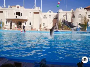 Dolphina
