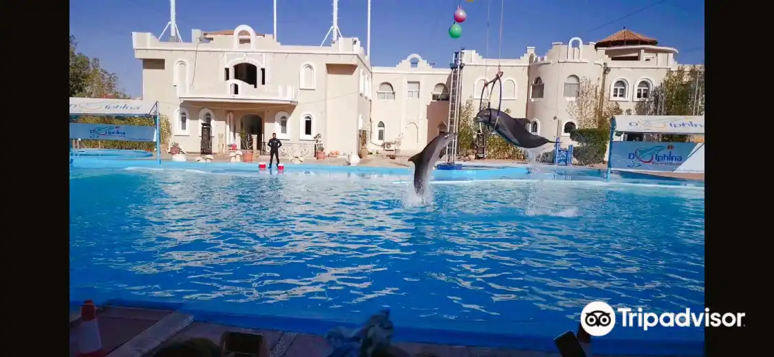 Các khách sạn gần Dolphina Park