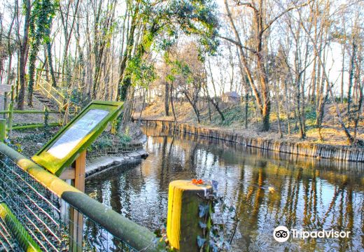 Parco Arcadia