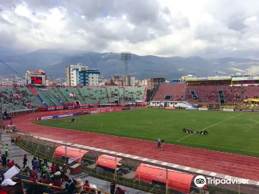 Estadio Felix Capriles