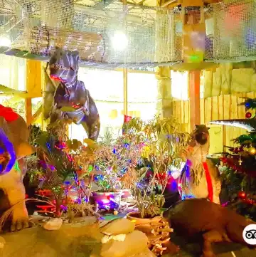 達姆施塔特-迪堡縣酒店