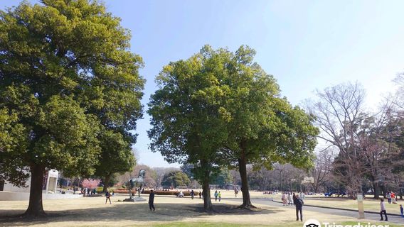 IDA Forest of Gunma (Gunma no Mori)