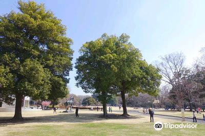 IDA Forest of Gunma (Gunma no Mori)