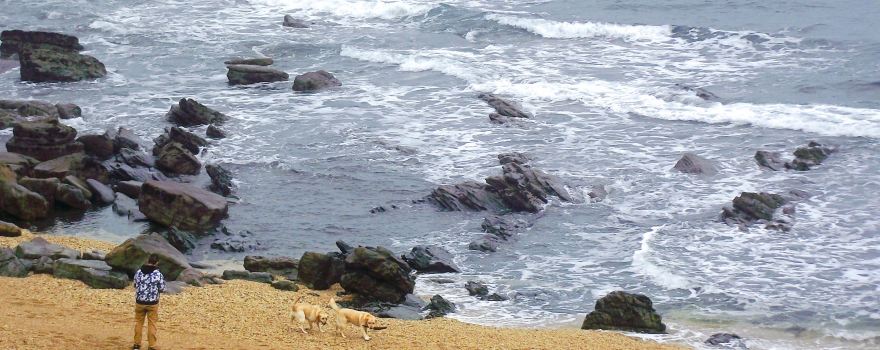 Playa de la Atalaya