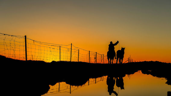 Nomadic Experiences in Gannan