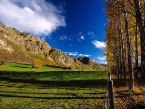 Walter Peak High Country Farm