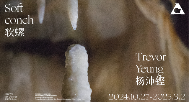 《楊沛鏗：軟螺》展覽 | 昌黎