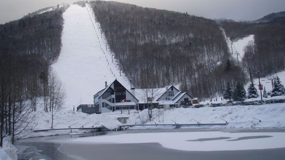 Killington Bear Mountain Lodge