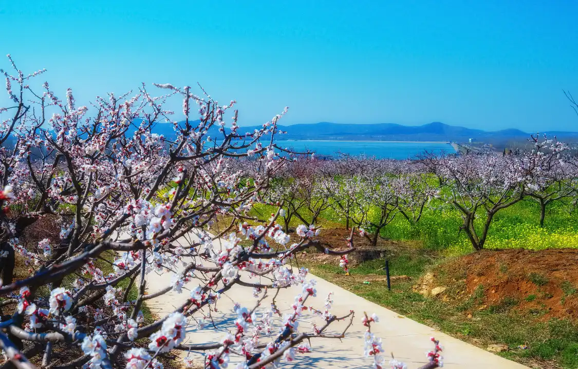 Hotel in zona Xuzhou Lvliangshan Scenic Area Management Office