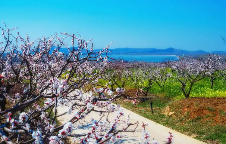 Hotel in zona Xuzhou Lvliangshan Scenic Area Management Office