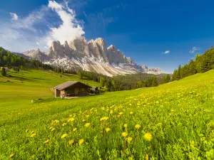 Popular Spring Outings in Veneto