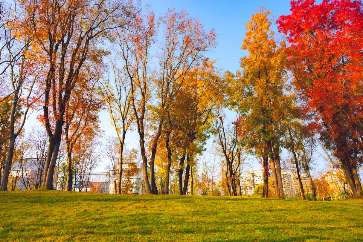 2_Xinglonghu Wetland Park