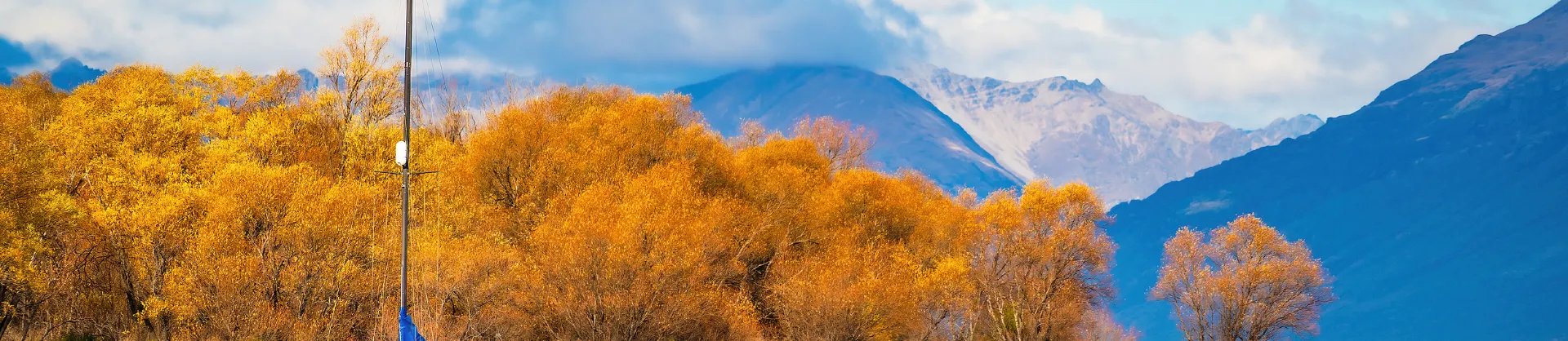 Fall Viewing Attractions