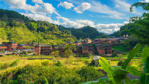 Pu'er